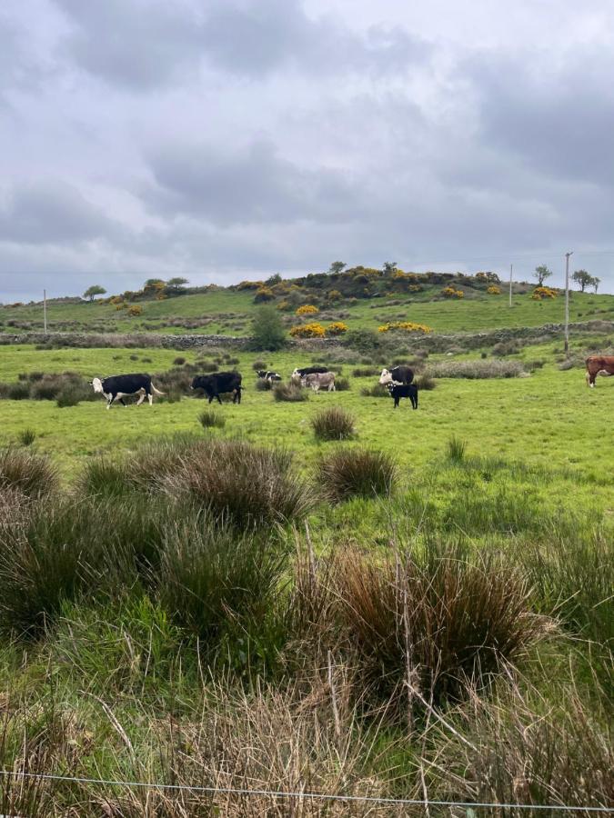 Kilmihil Lacken Farmyard المظهر الخارجي الصورة